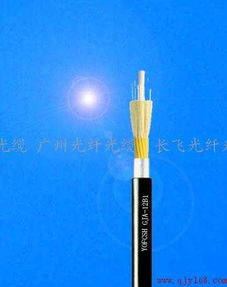 廣州光纖光纜行業 編織城市未來網絡的光纖力量