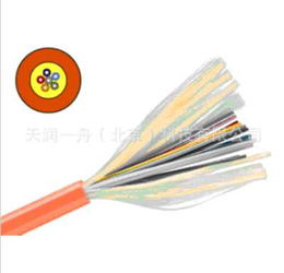 高效傳輸，纖毫必達 gjfjv 12b1室內12芯單模束狀軟光纜深度解析